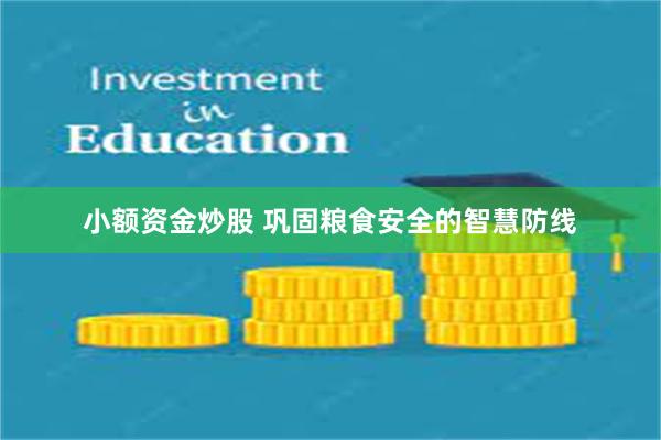 小额资金炒股 巩固粮食安全的智慧防线