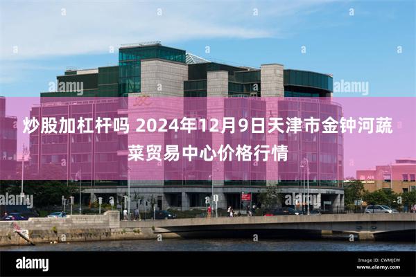 炒股加杠杆吗 2024年12月9日天津市金钟河蔬菜贸易中心价格行情