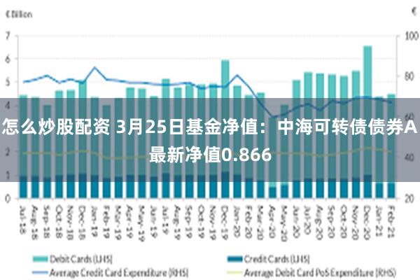 怎么炒股配资 3月25日基金净值：中海可转债债券A最新净值0.866