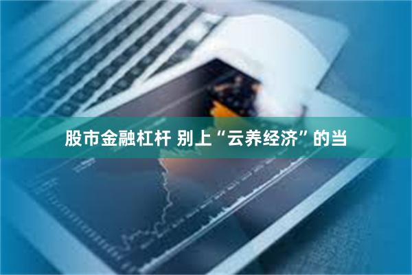 股市金融杠杆 别上“云养经济”的当