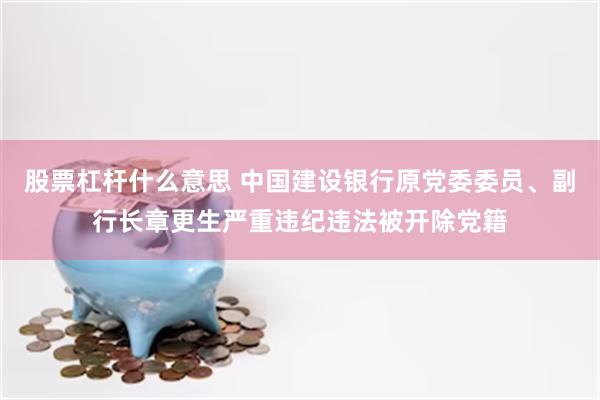 股票杠杆什么意思 中国建设银行原党委委员、副行长章更生严重违纪违法被开除党籍