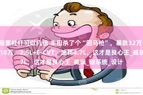 股票杠杆可以几倍 丰田杀了个“回马枪”，暴跌32万，50万一路跌至18万，2.5L+E-CVT，油耗4.7L，这才是良心王_威飒_动系统_设计