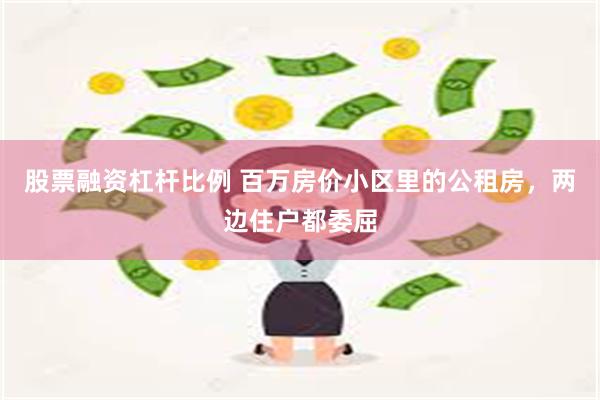 股票融资杠杆比例 百万房价小区里的公租房,两边住户都委屈